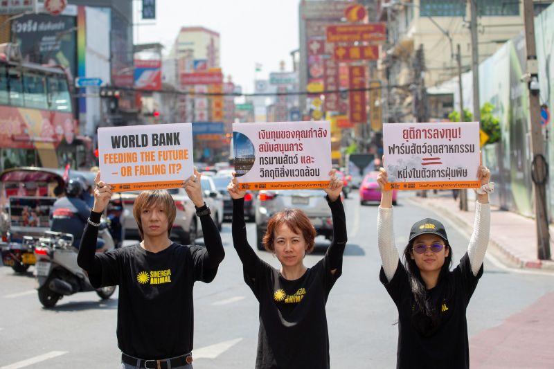 ไทยร่วมกว่า 20 ประเทศทั่วโลก เรียกร้องธนาคารโลกยุติการสนับสนุนฟาร์มปศุสัตว์เชิงอุตสาหกรรม ก่อนประชุมใหญ่ที่กรุงเทพฯ