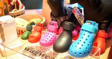 TANK TINKER แนะนำ รองเท้าสำหรับสุนัขแบรนด์ Wagwear