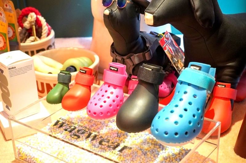 TANK TINKER แนะนำ รองเท้าสำหรับสุนัขแบรนด์ Wagwear
