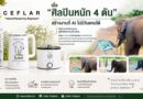 “เคฟล่า” จับมือ “ปางช้างแม่แตง” เปิดตัวคอลเลกชันพิเศษ CEFLAR x SUDA เครื่องใช้ไฟฟ้าจากศิลปะช้างไทย ร่วมสมทบทุนสร้างโรงพยาบาลช้างเชียงใหม่