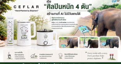 “เคฟล่า” จับมือ “ปางช้างแม่แตง” เปิดตัวคอลเลกชันพิเศษ CEFLAR x SUDA เครื่องใช้ไฟฟ้าจากศิลปะช้างไทย ร่วมสมทบทุนสร้างโรงพยาบาลช้างเชียงใหม่