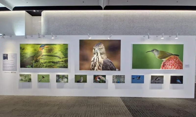 เอปสันยกระดับประสบการณ์ภาพถ่ายในงานเปิดตัว Sony Alpha 7R VI ถ่ายทอดทุกมิติของภาพผ่านเทคโนโลยีการพิมพ์ระดับมืออาชีพ