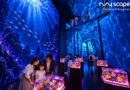 ‘ซีคอนสแควร์’ ผนึกกำลัง ‘อินเด็กซ์’ ประเดิมสร้าง “Immersive AQUARIUM” แห่งแรกของไทย พร้อมเปิดต้นปี 2570 เสริมทัพใหญ่ MyScape