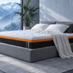 Lotus Mattress เปิดตัว ELVAR ที่สุดของที่นอนเทคโนโลยีใหม่ล่าสุด โอบรับสรีระอย่างมั่นคง เย็นสบายกว่าที่นอนทั่วไป เฉพาะที่ SB Design Square เท่านั้น