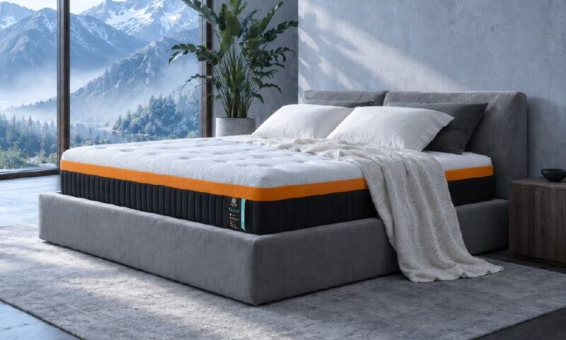 Lotus Mattress เปิดตัว ELVAR ที่สุดของที่นอนเทคโนโลยีใหม่ล่าสุด โอบรับสรีระอย่างมั่นคง เย็นสบายกว่าที่นอนทั่วไป เฉพาะที่ SB Design Square เท่านั้น